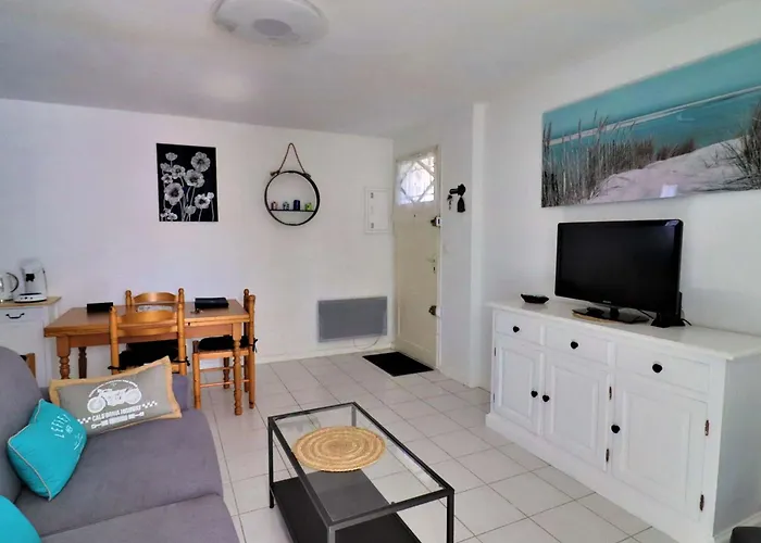 Avec Jardin, Proche Plages, Commerces Et Royan, Parking Prive - Fr-1-494-195 公寓 圣乔治德蒂